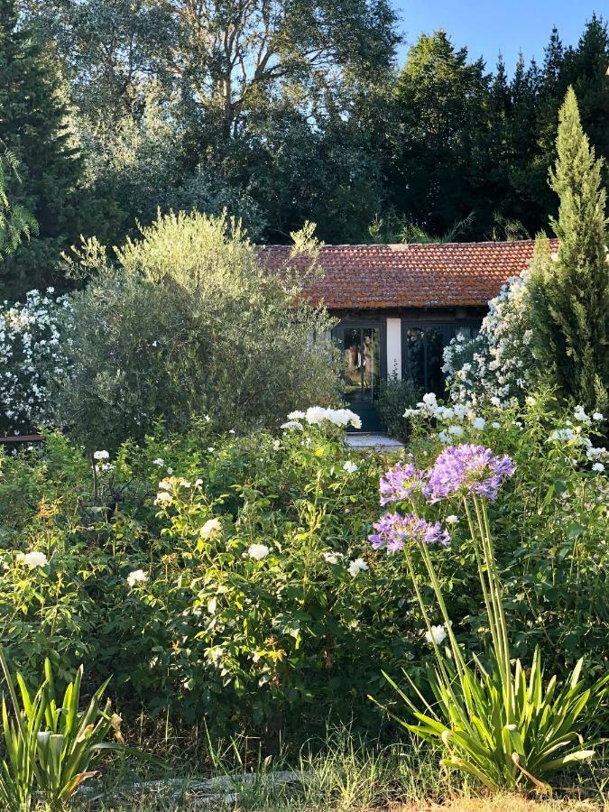 B&B Mas De Caustes Saint-Remy-de-Provence Exterior photo
