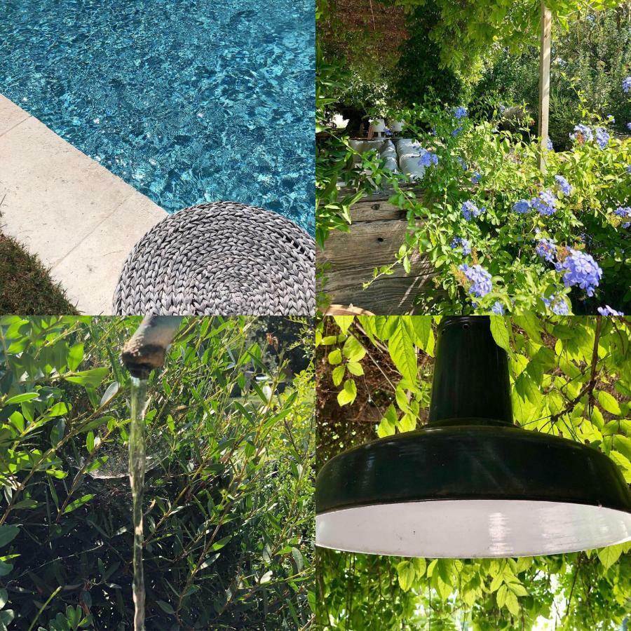 B&B Mas De Caustes Saint-Remy-de-Provence Exterior photo