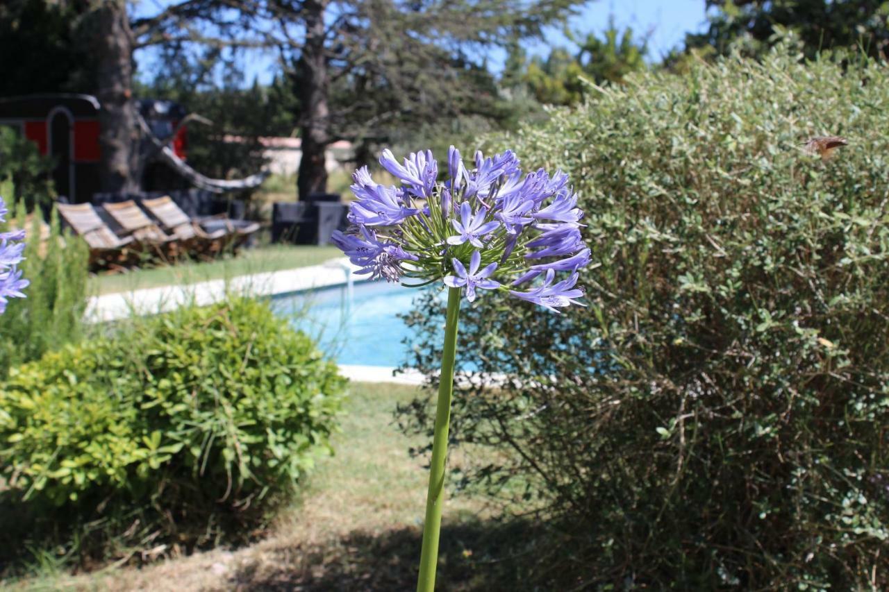 B&B Mas De Caustes Saint-Remy-de-Provence Exterior photo