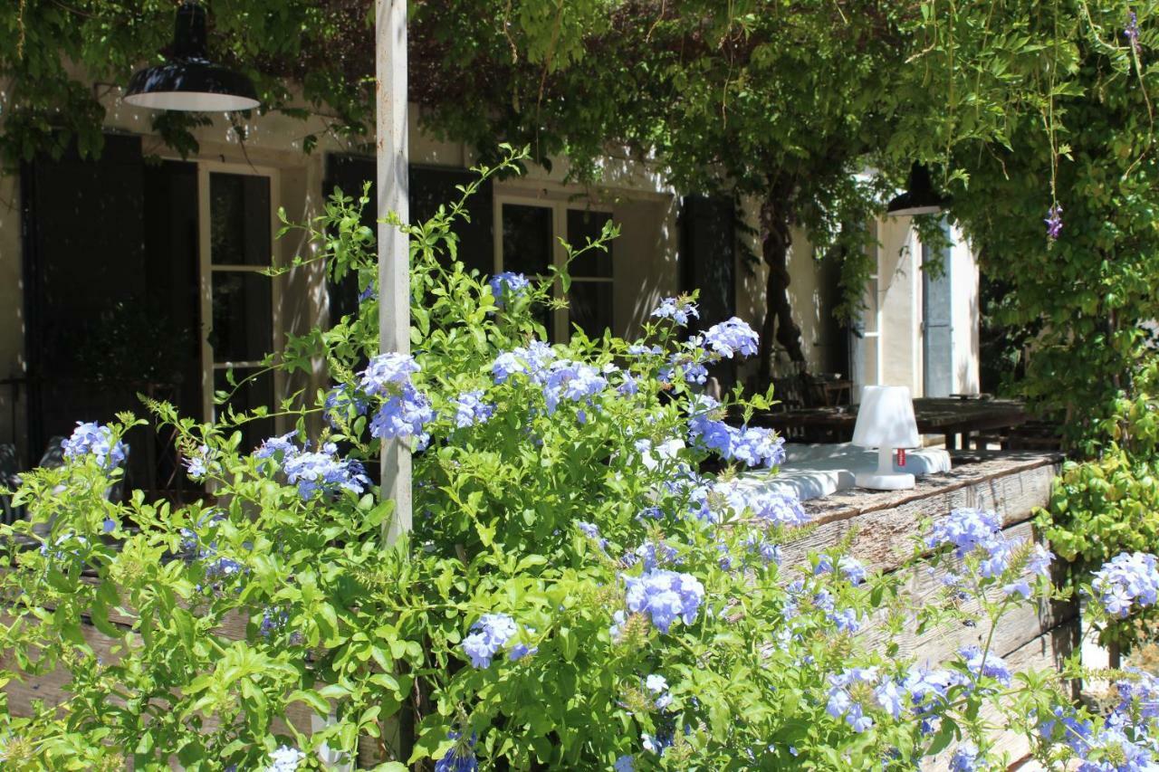 B&B Mas De Caustes Saint-Remy-de-Provence Exterior photo